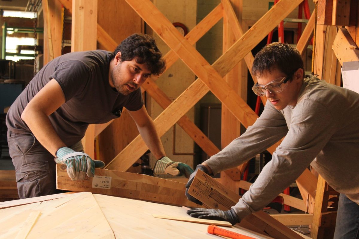 Plywood on steroids: CBE experiments with building materials for a sustainable future