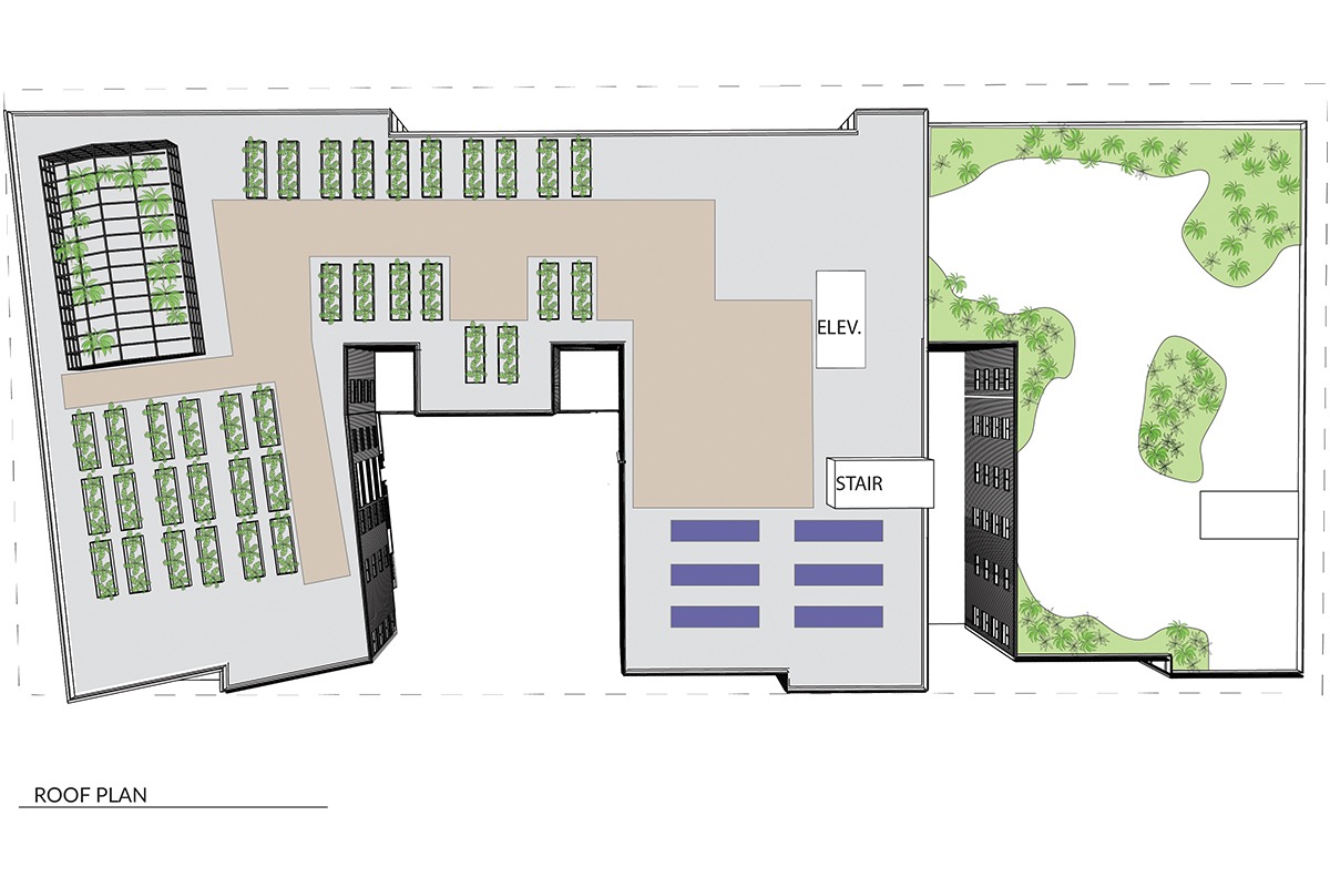 Rainier Landing Roof Plan