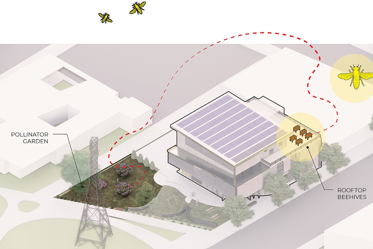 THE HIVE - Bee Diagram
