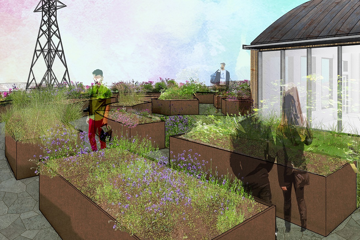 RAINER BEACH FOOD HALL P-Patch Render