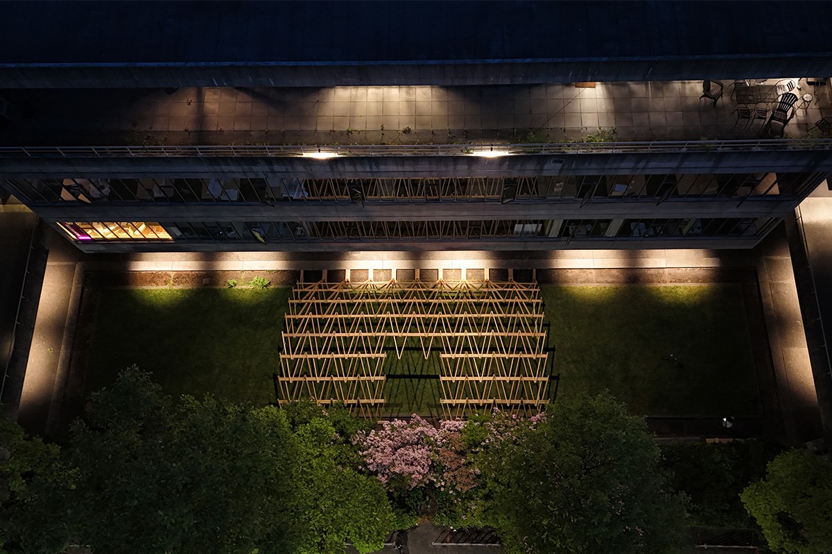 Timber Wave Night Photo